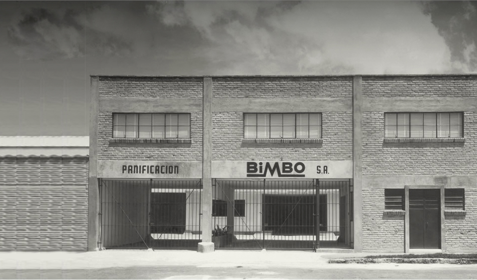 Más sabe el oso por viejo, que por tierno